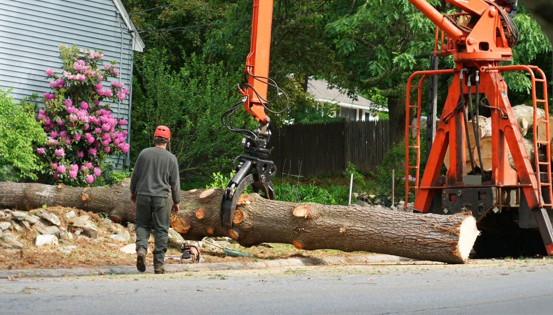 A tree knocked over by tree trimming professionals in Alpharetta, GA.